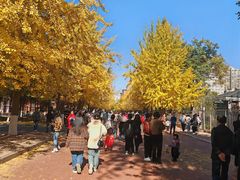 -辽宁大学(崇山校区)