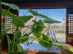 -小吊梨汤·北京菜(香山店)