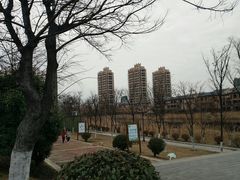 -五里湖湿地公园