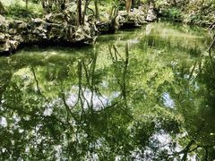 -绮园景区