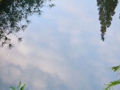 -成都市活水公园