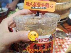 -沙胆彪炭炉牛杂煲(成都玉林店)