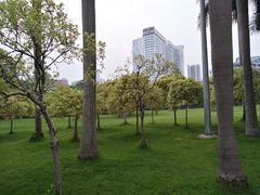 -东风公园