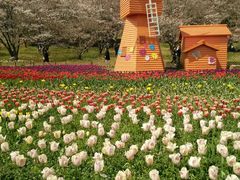 -苏州上方山国家森林公园