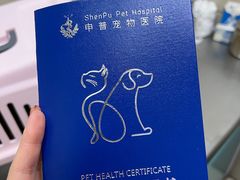-申普宠物医院·心脏介入·心血管微创(总院)