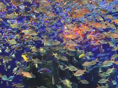 -成都浩海立方海洋公园