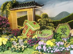 -杭州植物园