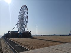 -奉贤海滩