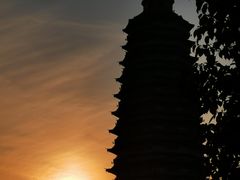 -红梅公园