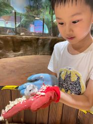 -宝燕乐园(闵行旗舰店)