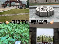 -广州神农草堂中医药博物馆