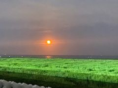 -南汇新城海滩