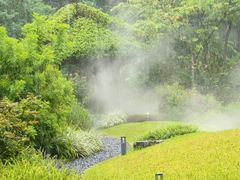 -云溪植物园