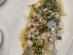 黄椒酱砂锅焗鲈鱼-粤盛海鲜平价店(洛溪食街店)