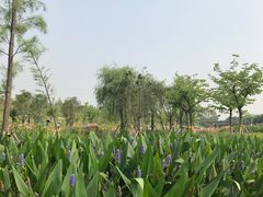 -那考河湿地公园