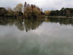-新江湾城公园