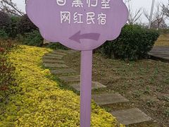 -紫颐香薰山谷景区