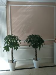 -Bollins波林丝•专研护发中心