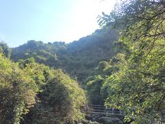 -马峦山郊野公园