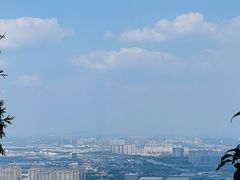-惠山国家森林公园