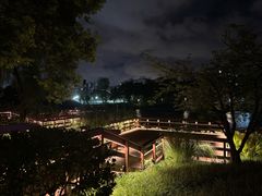-新江湾城公园