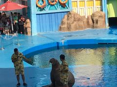 -华夏文旅海洋公园