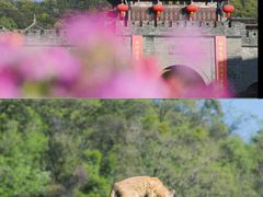-都江堰景区