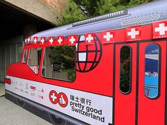-三里屯东五街银杏大道