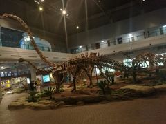 -自贡恐龙博物馆