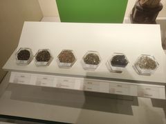 -中国茶叶博物馆(双峰馆区)