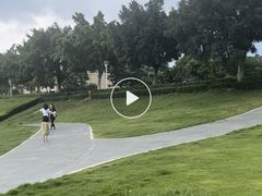 -风云岭森林公园