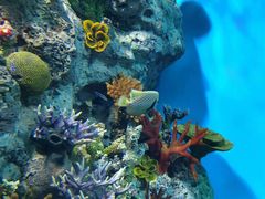 -福州罗源湾海洋世界旅游区