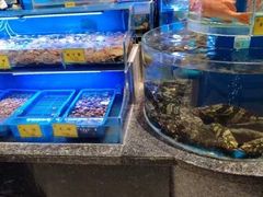 -新海渔港·胶东海鲜家常菜·家宴(奥体中心店)