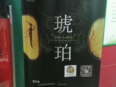 -上海昆虫博物馆