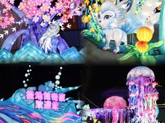 -海合安武汉极地海洋公园