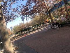 -朝阳公园游乐园