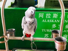 -無招牌海鮮(芽笼店)