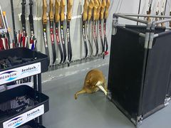 -蓝天射箭馆·专业射箭运动(诚丰广场店)