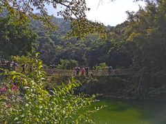 -青青世界