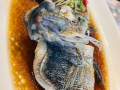 -骏莱海鲜鱼港(五角场店)