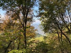 -白草畔自然风景区