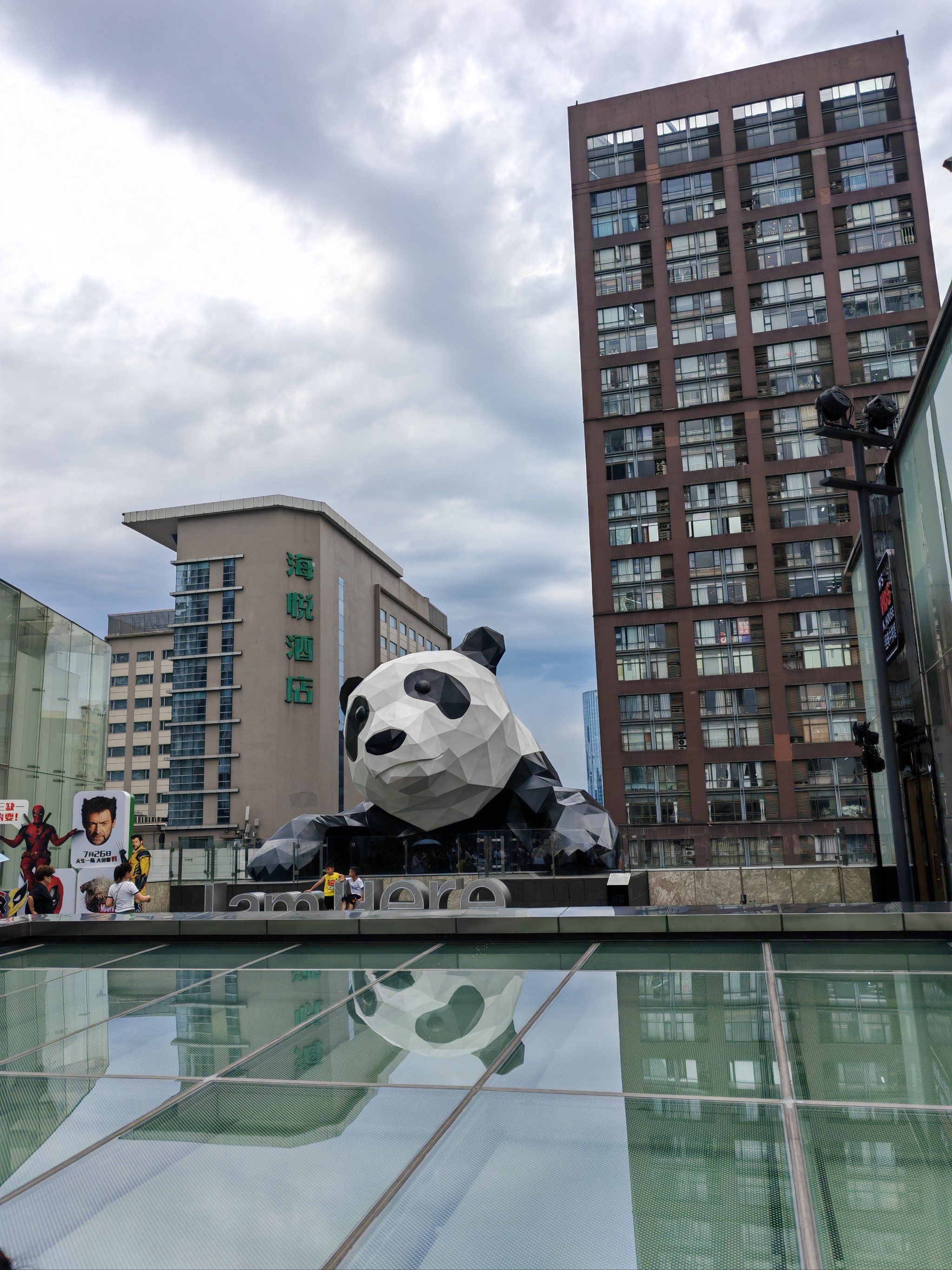 熊猫界的小清新