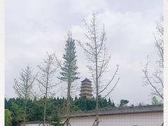 -仙游寺