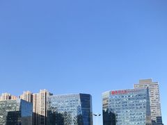 -麦当劳(廊坊新华路店)