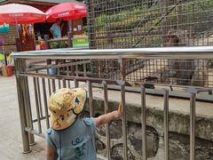 -南京金牛湖风景区