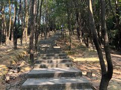 -火炉山森林公园