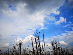 -南京市无想山景区