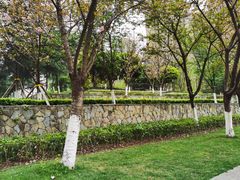 -龙头寺公园