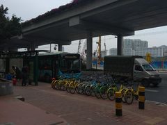 -阿一猪红汤(东风西路店)