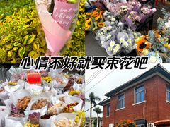 -溪岸路花鸟市场